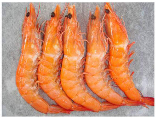 Whole Shrimp(0.5lb)